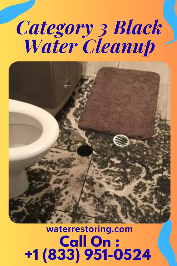 Category 3 Black Water Cleanup in Alleghenyville, PA