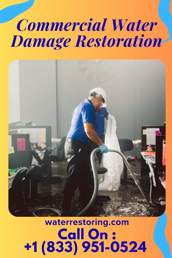 Commercial Water Damage Restoration in Alleghenyville, PA