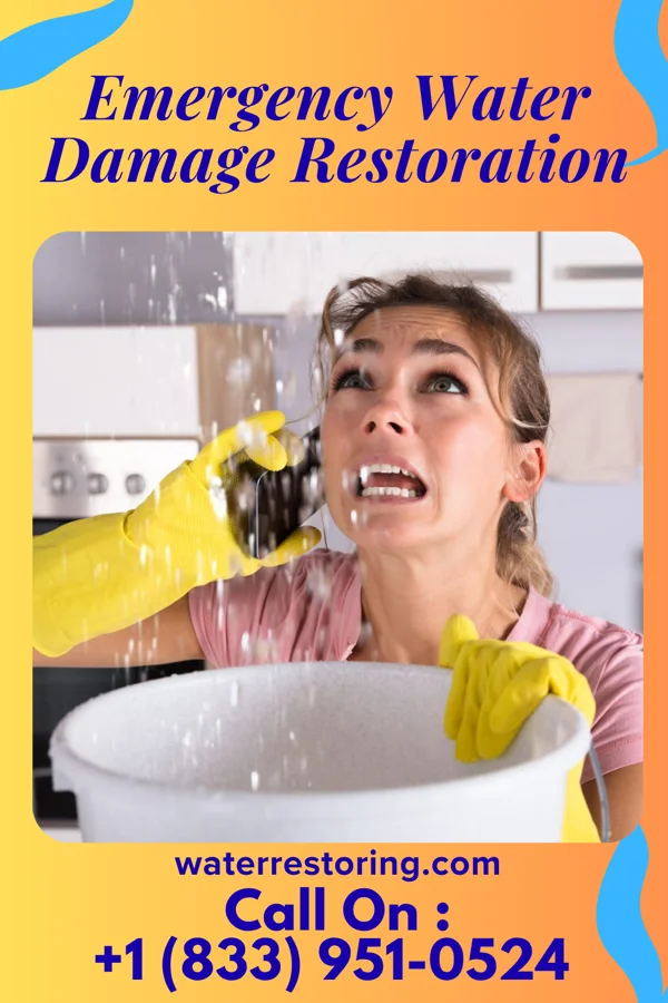 Emergency Water Damage Restoration in Alleghenyville, PA