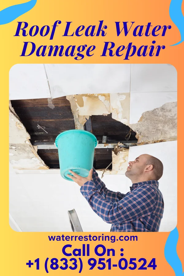 Roof Leak Water Damage Repair in Alleghenyville, PA