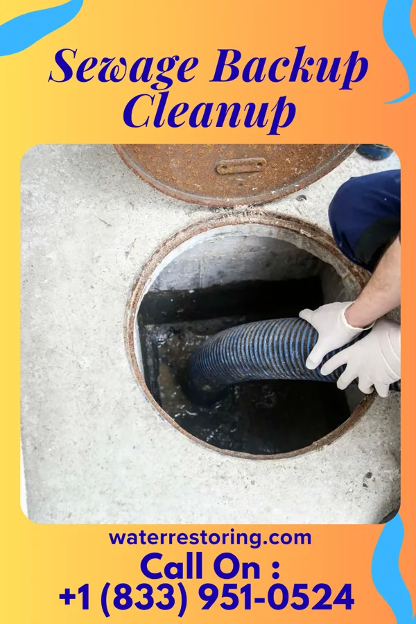 Sewage Backup Cleanup in Alleghenyville, PA